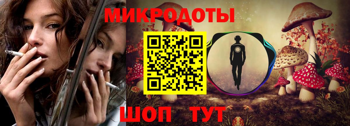 Галлюциногенные грибы MAGIC MUSHROOMS  Вход с VPN  Карачаевск 