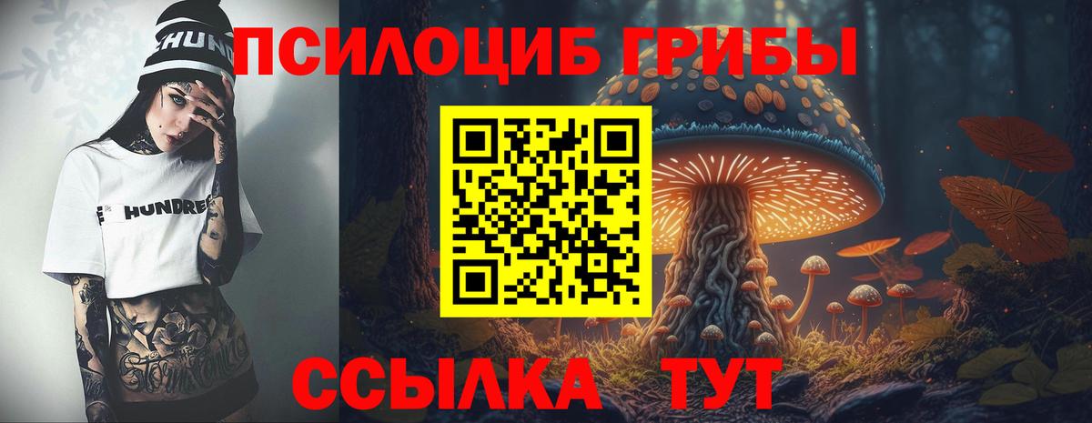 Псилоцибиновые грибы Magic Shrooms Карачаевск